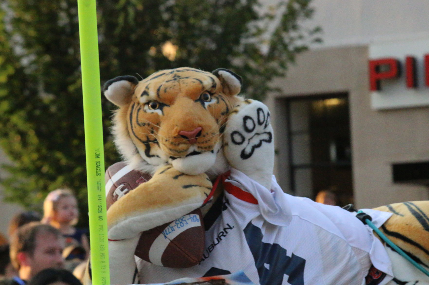 Auburn University homecoming 2017